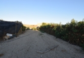 Rural estate for sale in Fortuna ref: TR188332 photo