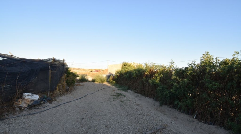 Murcia - Fortuna - 5590m2