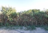 Rural estate for sale in Fortuna ref: TR188332 photo