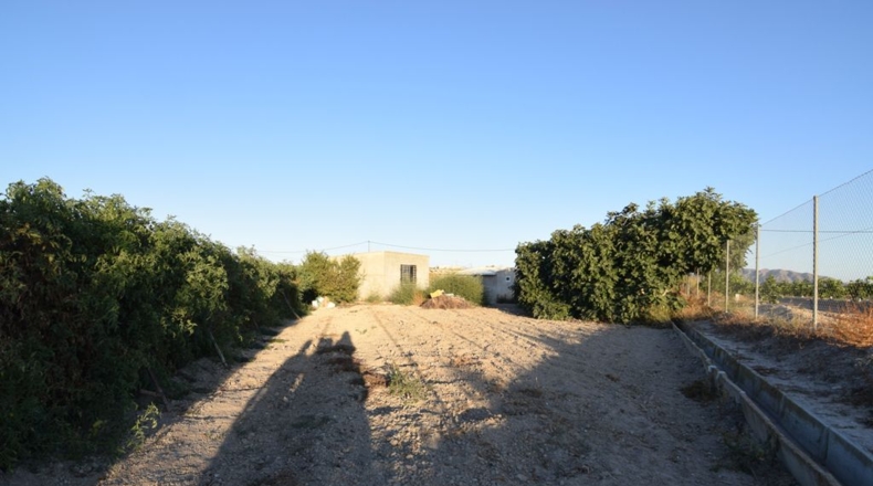 Murcia - Fortuna - 5590m2