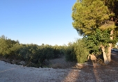 Rural estate for sale in Fortuna ref: TR188332 photo