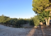 Rural estate for sale in Fortuna ref: TR188332 photo