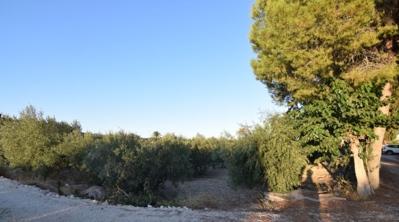 Murcia - Fortuna - 5590m2