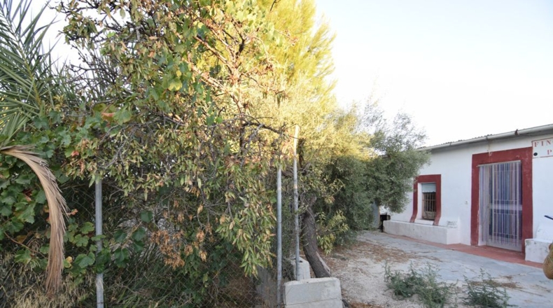 Murcia - Fortuna - 5590m2