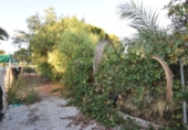 Rural estate for sale in Fortuna ref: TR188332 photo