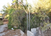 Rural estate for sale in Fortuna ref: TR188332 photo