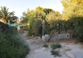 Rural estate for sale in Fortuna ref: TR188332 photo