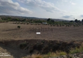 Parcel·la urbanitzable en venda a Molina de Segura ref.: TR34352 foto