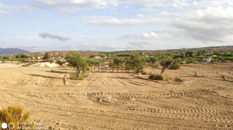 Murcia - Los Valientes - 43000m2