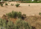 Parcel·la urbanitzable en venda a Molina de Segura ref.: TR34352 foto