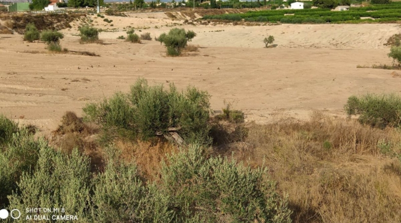 Murcia - Los Valientes - 43000m2
