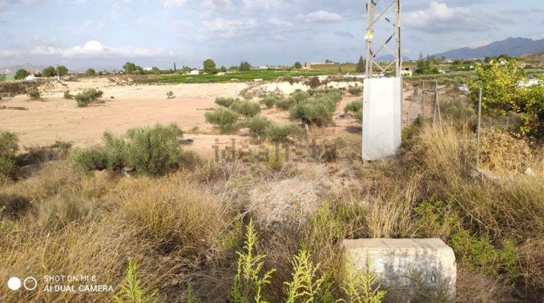 Murcia - Los Valientes - 43000m2