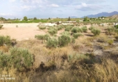Parcel·la urbanitzable en venda a Molina de Segura ref.: TR34352 foto