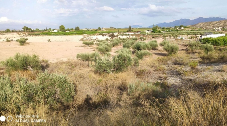 Murcia - Los Valientes - 43000m2
