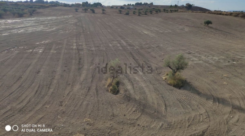 Murcia - Los Valientes - 43000m2