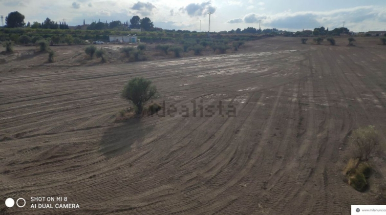 Murcia - Los Valientes - 43000m2