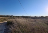 Rural estate for sale in Molina de Segura ref: TR40576 photo