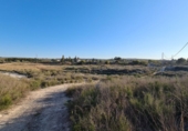 Rural estate for sale in Molina de Segura ref: TR40576 photo