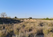 Rural estate for sale in Molina de Segura ref: TR40576 photo