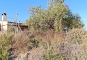 Rural estate for sale in Molina de Segura ref: TR40576 photo