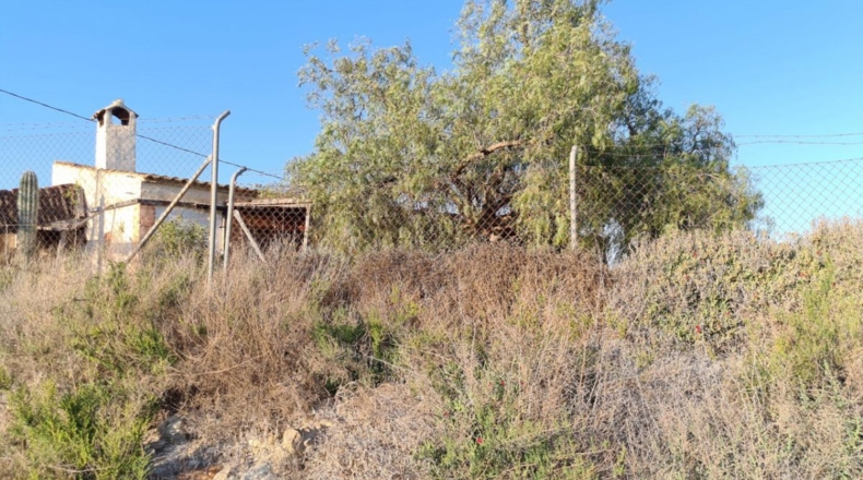 Murcia - Molina de Segura - 11500m2