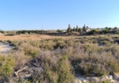 Rural estate for sale in Molina de Segura ref: TR40576 photo