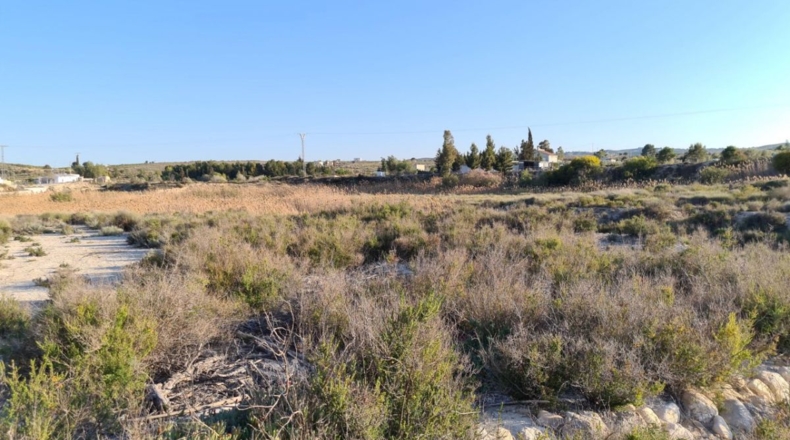 Murcia - Molina de Segura - 11500m2