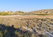 Rural estate for sale in Molina de Segura ref: TR40576 photo
