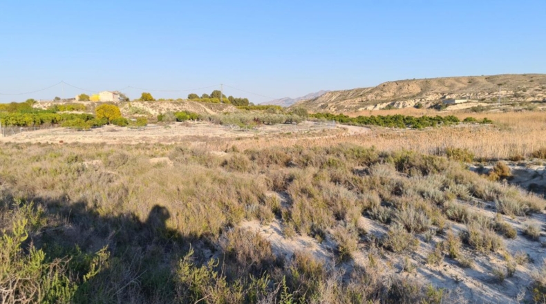 Murcia - Molina de Segura - 11500m2