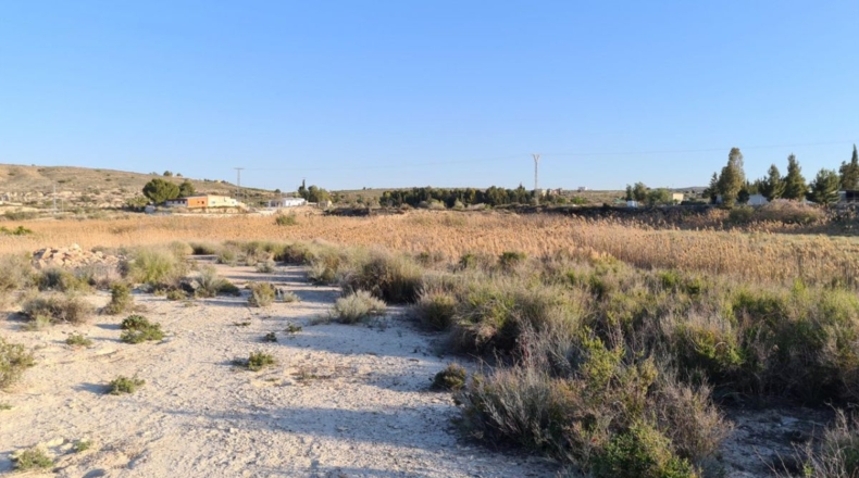 Murcia - Molina de Segura - 11500m2