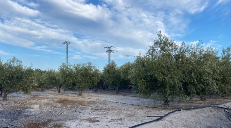 Murcia - Los Valientes - 10799m2