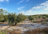 Земля на продажу у города Molina de Segura. Фото