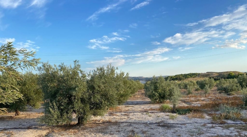 Murcia - Los Valientes - 10799m2