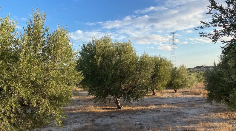 Murcia - Los Valientes - 10799m2