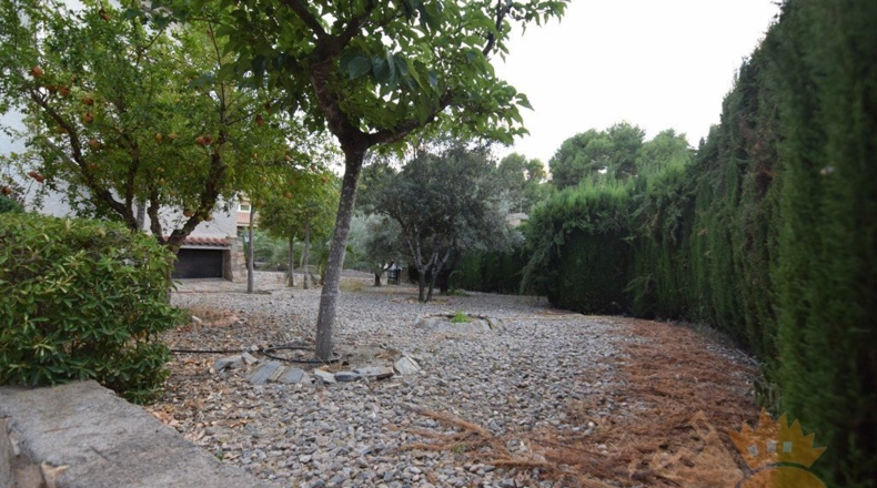 Murcia - Molina de Segura - 1550m2