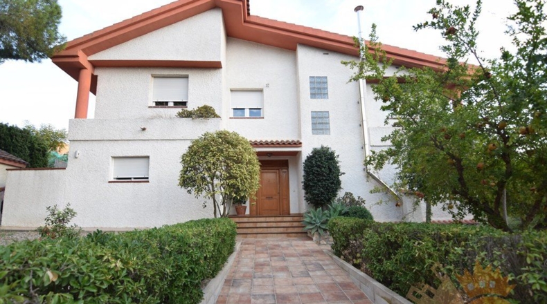 Murcia - Molina de Segura - 1550m2
