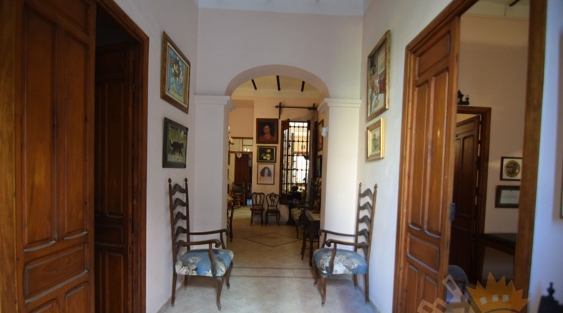 Murcia - Alguazas - 350m2