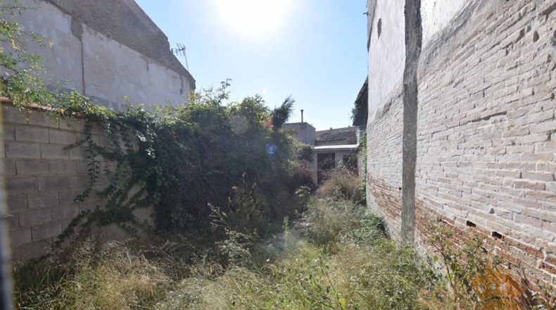 Murcia - Alguazas - 350m2