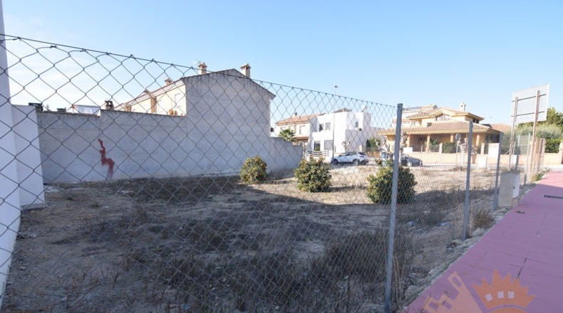 Murcia - Molina de Segura - 519m2