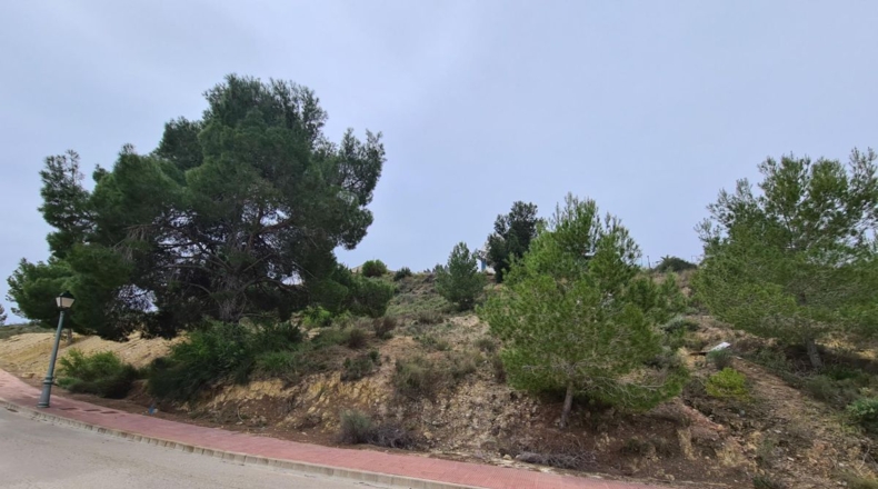Murcia - Molina de Segura - 1510m2