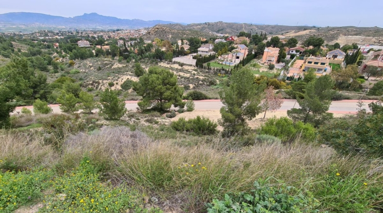 Murcia - Molina de Segura - 1510m2