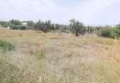 Non-developable land for sale in Molina de Segura ref: TR45517 photo
