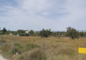 Non-developable land for sale in Molina de Segura ref: TR45517 photo