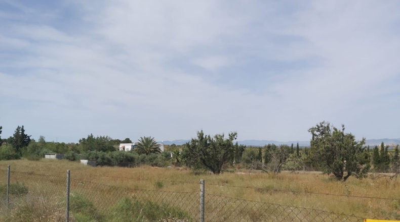 Murcia - Molina de Segura - 2400m2