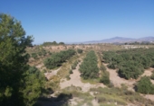 Finca rústica en venta en Molina de Segura ref: TR48695 foto