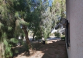 Finca rústica en venta en Molina de Segura ref: TR48695 foto
