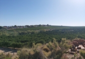 Finca rústica en venta en Molina de Segura ref: TR48695 foto
