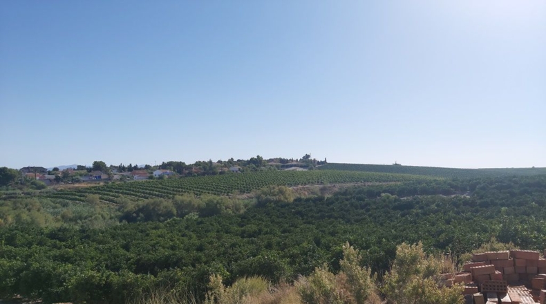 Murcia - Molina de Segura - 40000m2