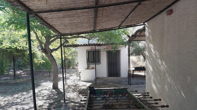 Murcia - Molina de Segura - 40000m2