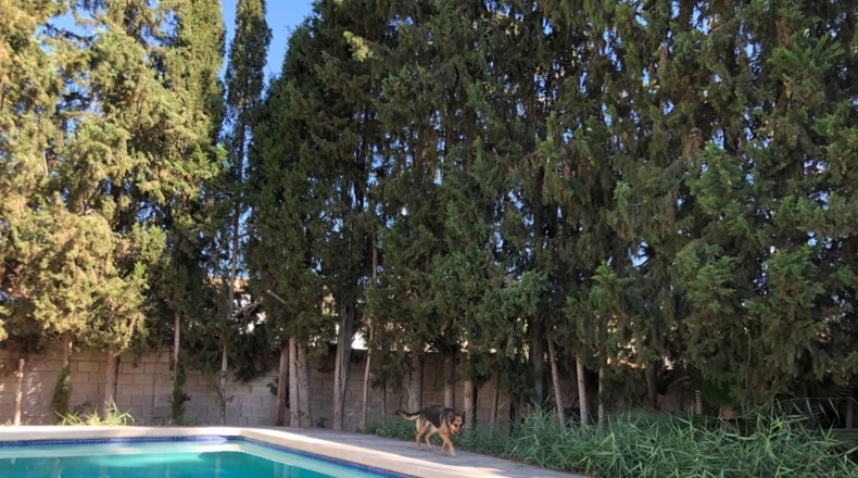 Murcia - Archena - 2000m2